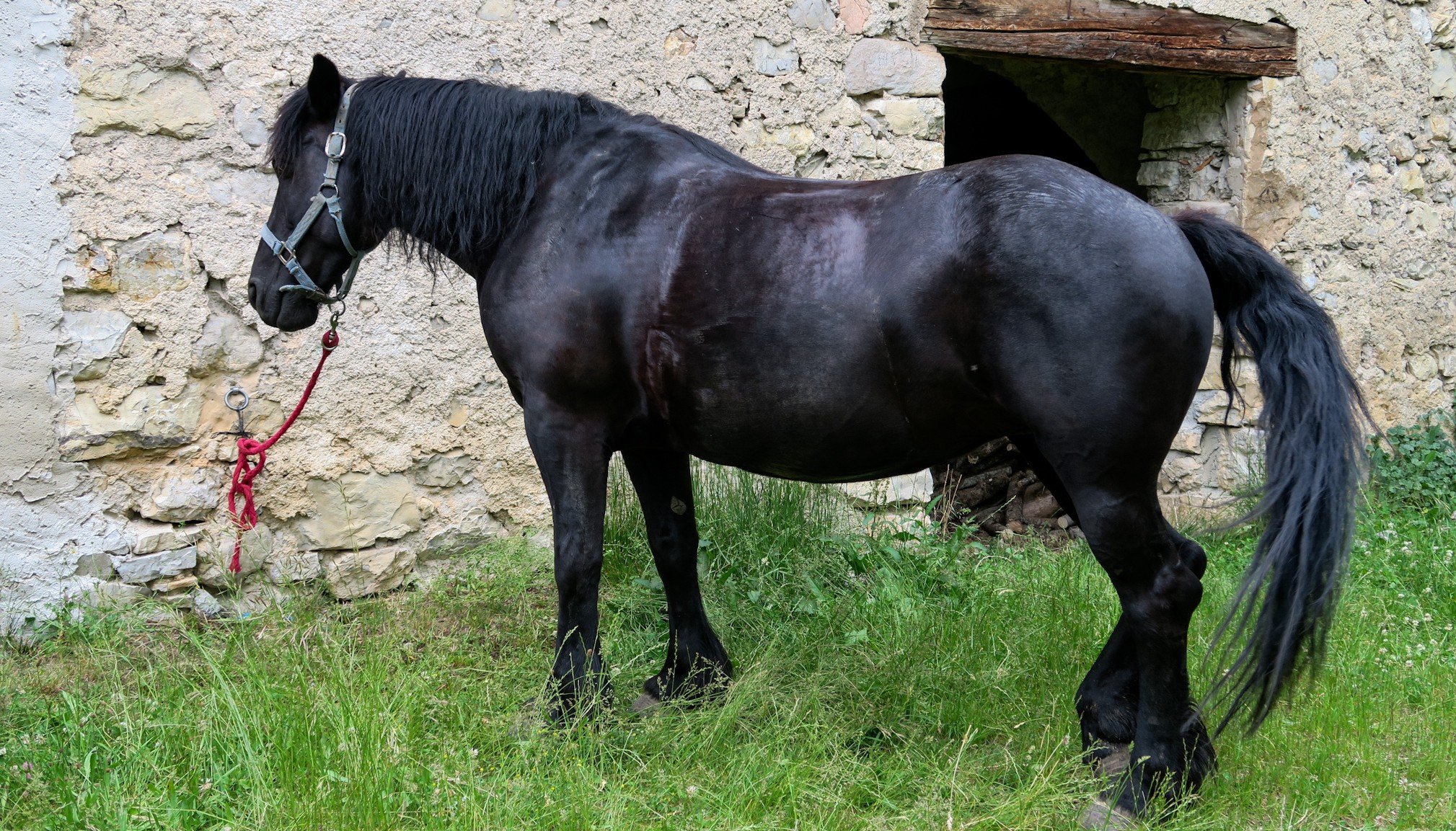 Randonnee A Cheval Dans Les Hautes Alpes Sur 2 Jours Une Vie En Vrai