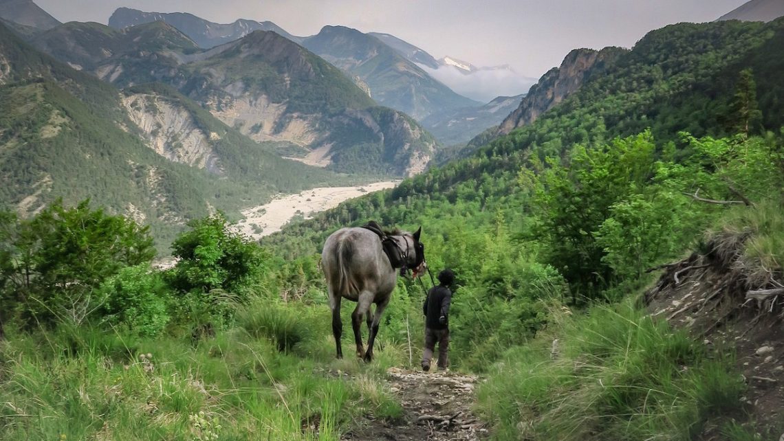 Randonnée à cheval dans les Hautes-Alpes