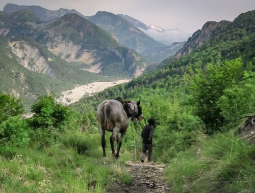 Randonnée à cheval dans les Hautes-Alpes