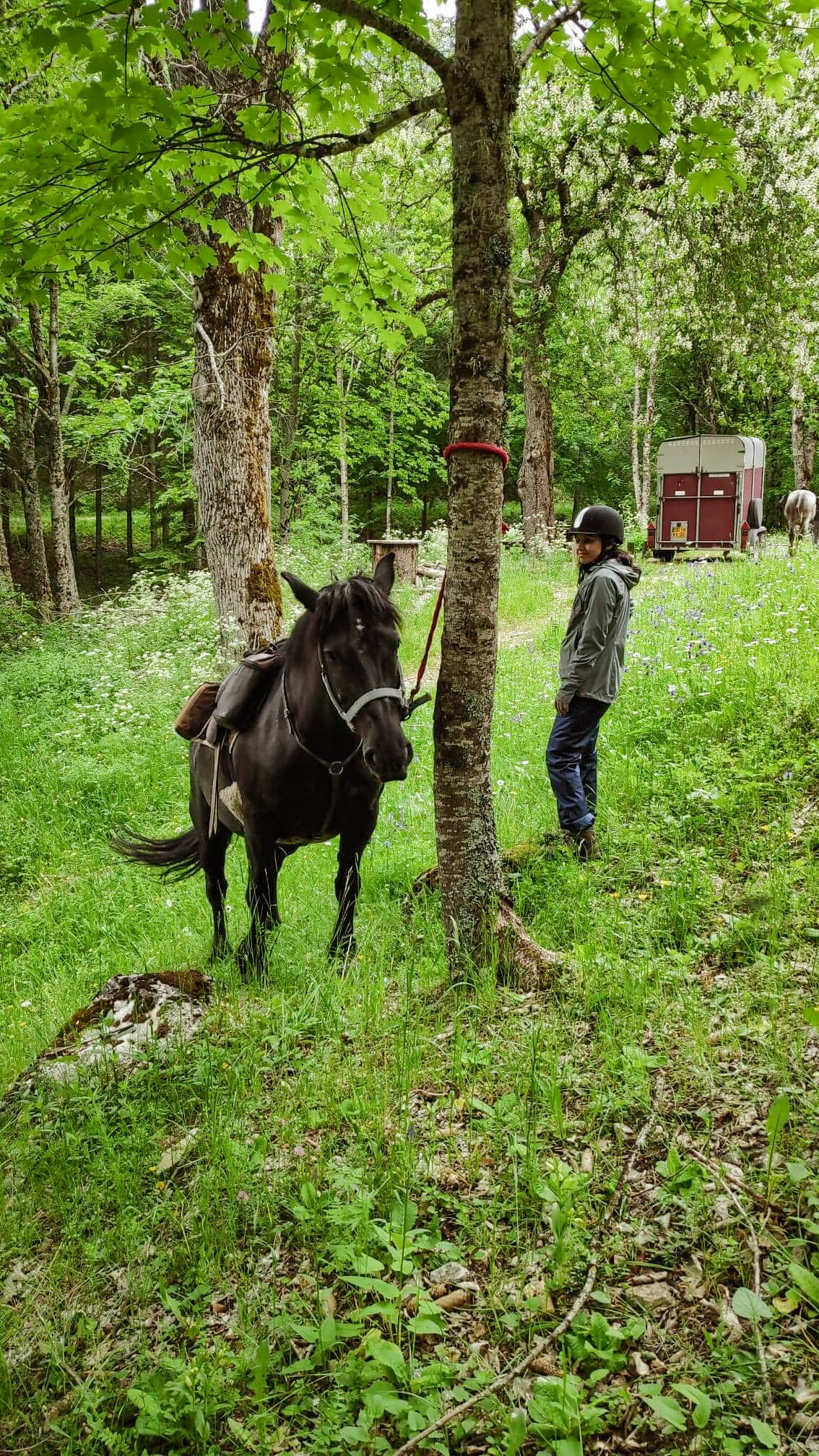 Randonnee A Cheval Dans Les Hautes Alpes Sur 2 Jours Une Vie En Vrai