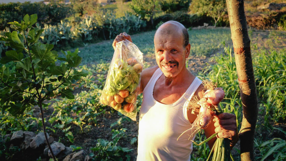 Ahmed Ayad, producteur de légumes bio à Chefchaouen