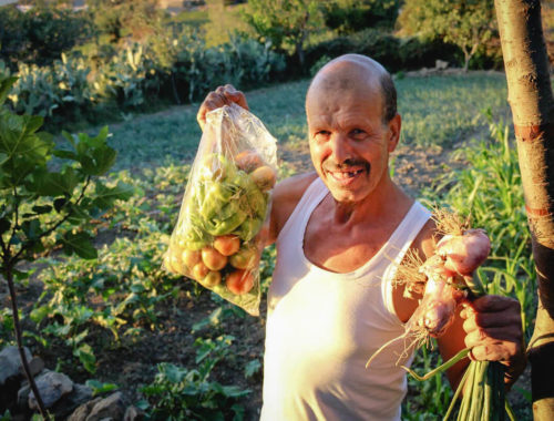 Ahmed Ayad, producteur de légumes bio à Chefchaouen