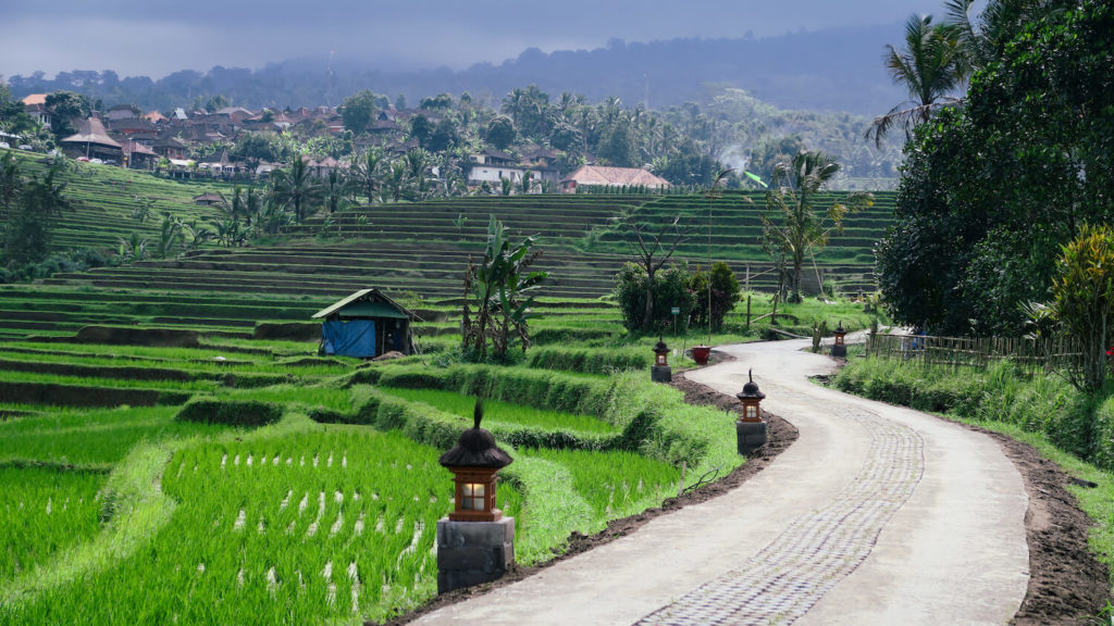 Route le long des rizières de Jatiluwih à Bali avec lanternes