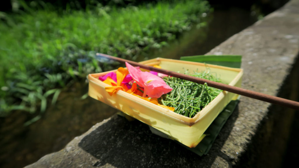 Offrande en l'honneur de dieux de Bali