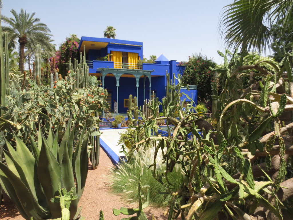 Le Jardin Majorelle et son jardin de cactus