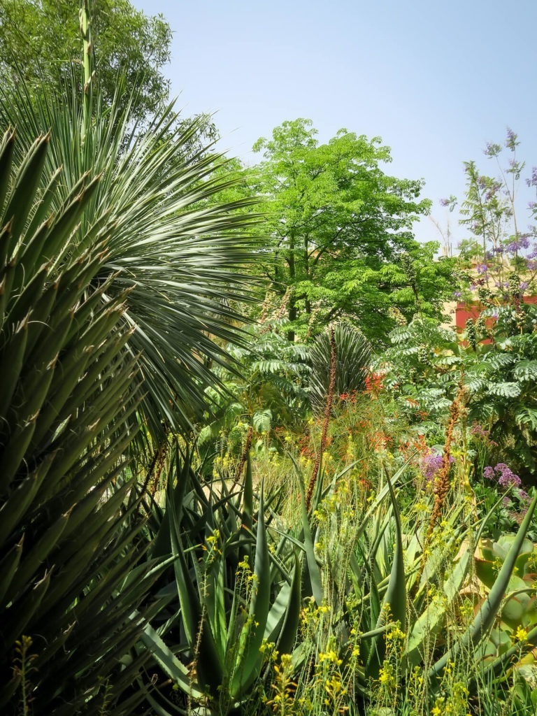 Jardin Tropical du Jardin Secret de Marrakech