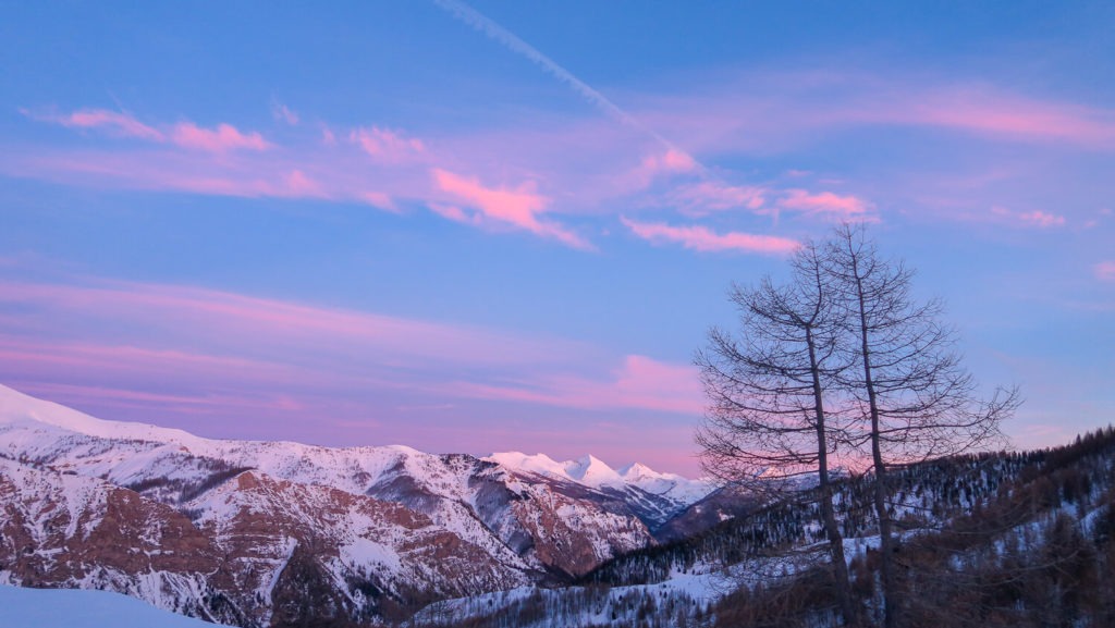 Paysage de montagne, ciel rose et bleu avec mélèzes au coucher du soleil