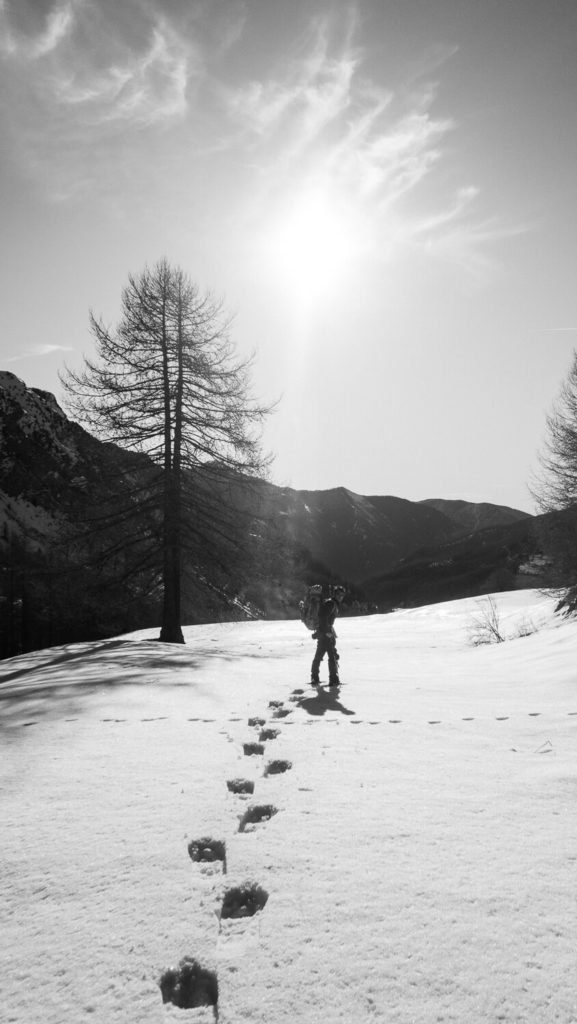Homme en sac à dos en randonnée en raquettes, mélèze et paysage de neige