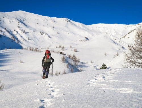 Homme avec sac à dos et raquettes dans paysage de montagne et neige