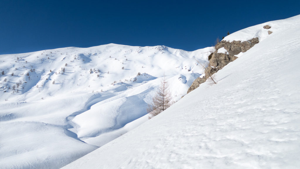 Paysage de montagne en neige avec crête et sapins