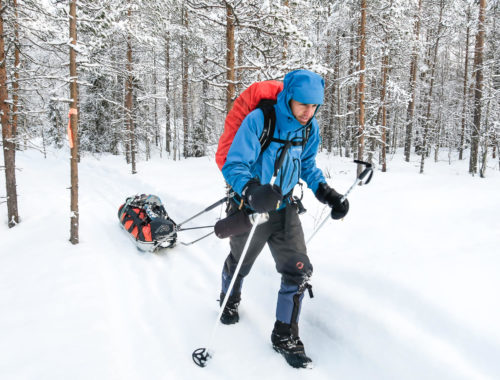 Homme qui marche sur un sentier enneigé en forêt en traînant une pulka