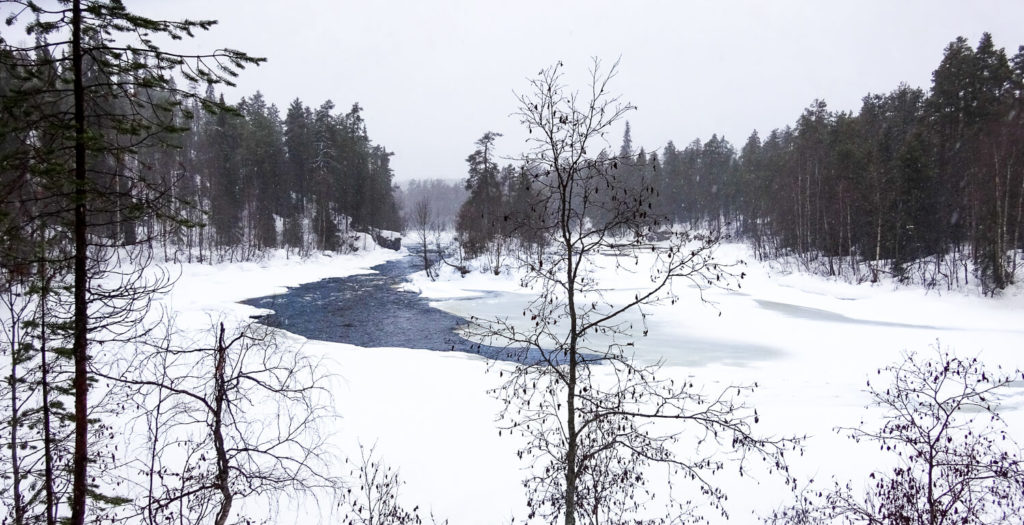 Vue sur la rivière gelée Oulanka, dans le parc national d'Oulanka, Laponie Finlandaise