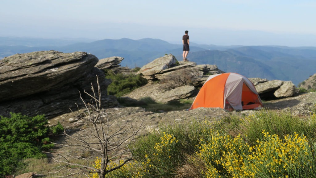 Bivouac sur le bord du plateau du Caroux avec tente et genêts en fleurs