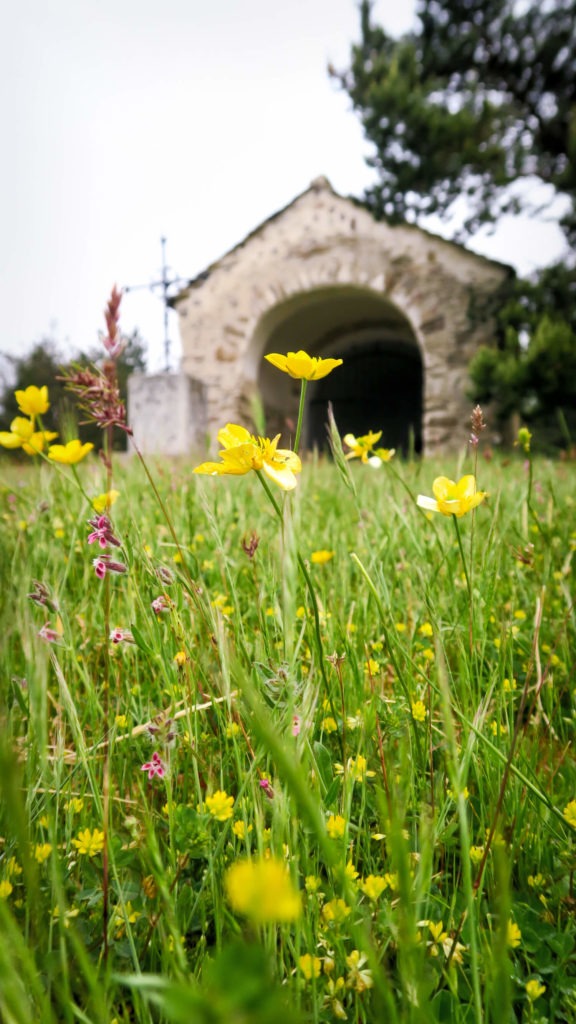 La chapelle de Saint-Martin-du-Froid avec son parterre de boutons d'or