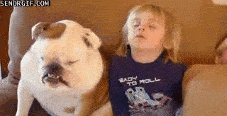 Un petit garçon et son bulldog s'endorment assis