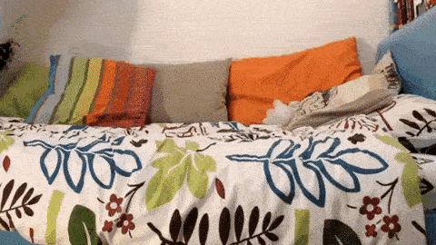 Une jeune femme tombe de fatigue sur son lit