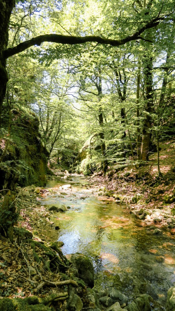 Le torrent du Vialais est somptueux