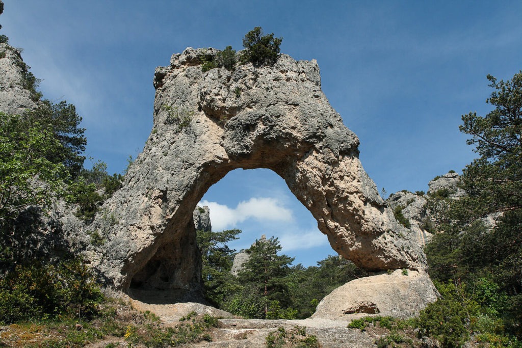 - Crédit photo : Benh LIEU SONG via Wikimedia Commons