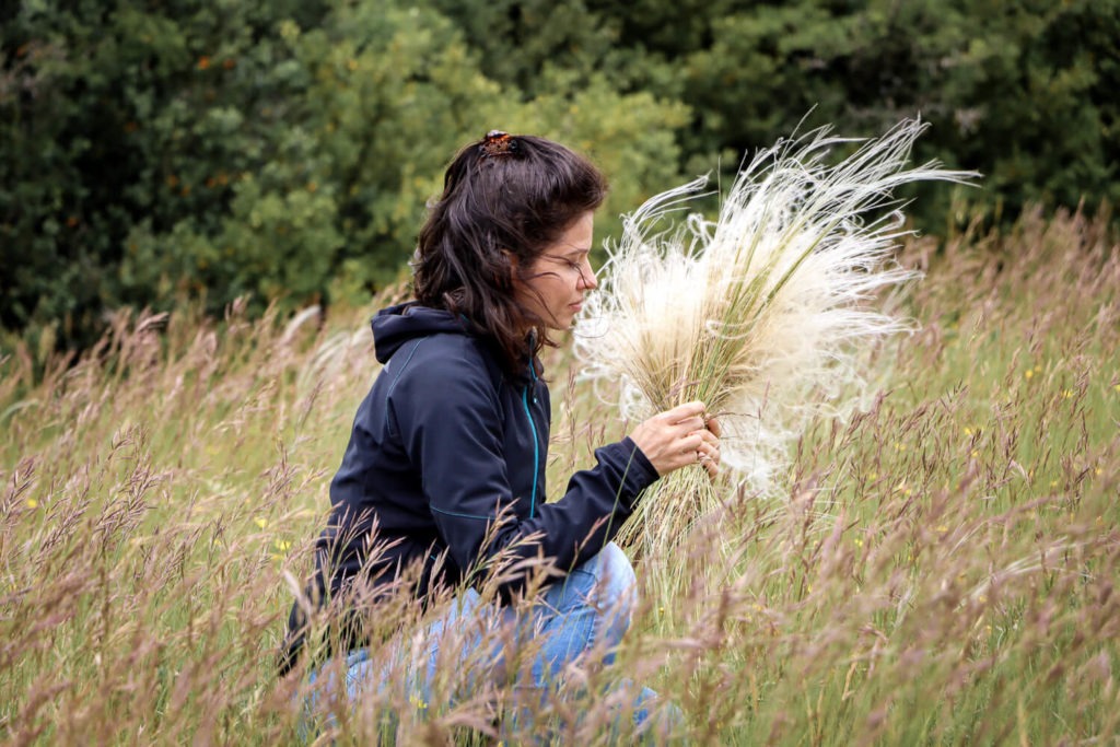Cueillette de cheveux d'ange dans le Larzac pour un weekend en Aveyron poétique