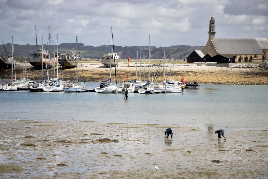 peche-a-pied-camaret-sur-mer-bretagne