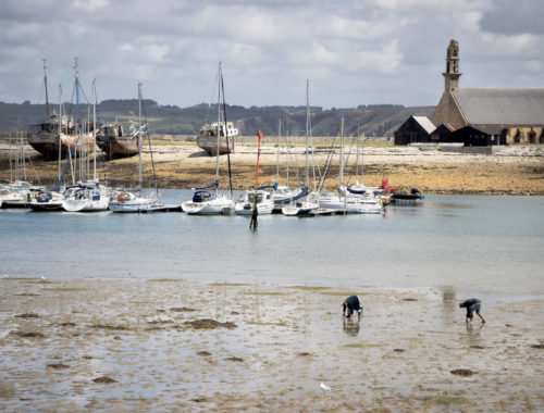 peche-a-pied-camaret-sur-mer-bretagne