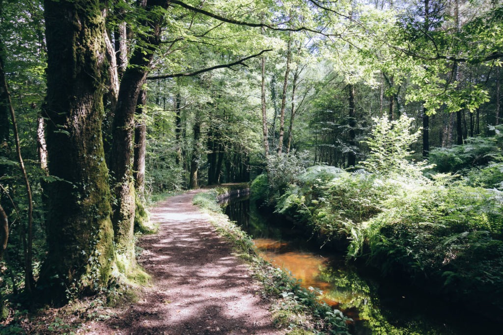 Sentier et arbres au bord du canal de la forêt d'Huelgoat