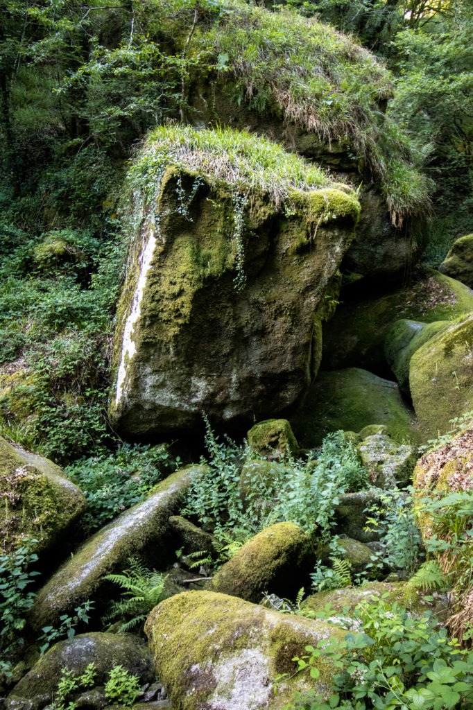 Amas de roches et fougères dans la forêt de Huelgoat